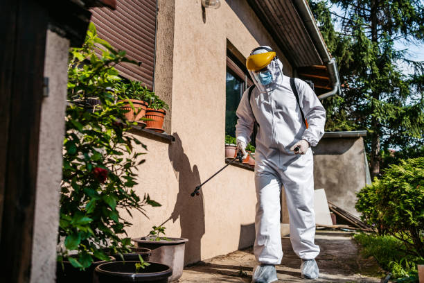 Best Pest Control for Homes  in New Egypt, NJ