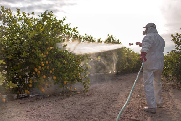 Best Best Pest Control Near Me  in New Egypt, NJ