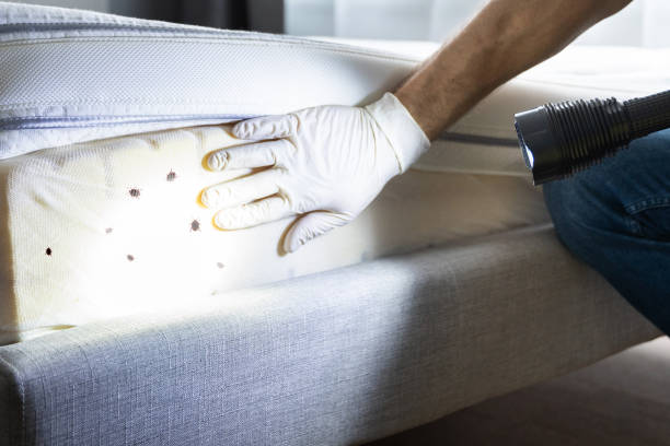Best Pest Control Near Me in New Egypt, NJ