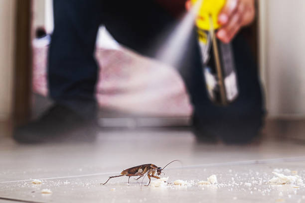 Best Pest Control Cost  in New Egypt, NJ