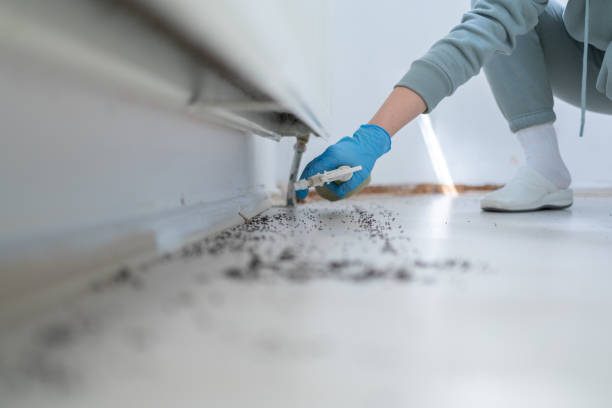 Best Bed Bug Extermination  in New Egypt, NJ